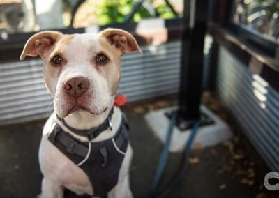 Centuri Chan | Moon Under Water Photography